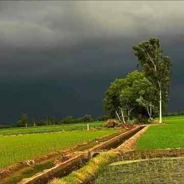 میں وہ پرندے نہیں رکھتی😒😏
جنہیں سب کے ساتھ اڑنے کا شوق ہو😒😏😎
Owsm view hy na😍
Anum malik😇