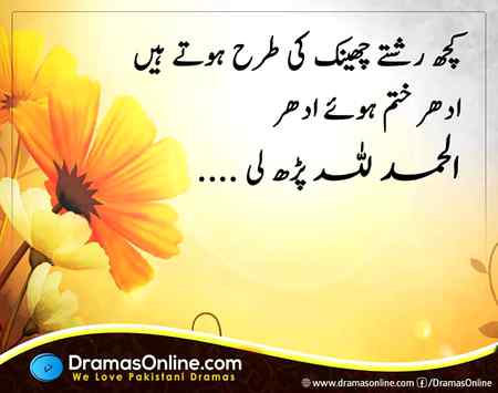 Koch log hoty hn aisy