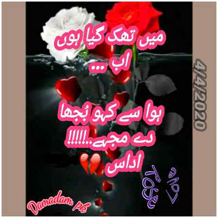 💔💞💔💞💔💞RoSe💔💞💔💞💔💞💔