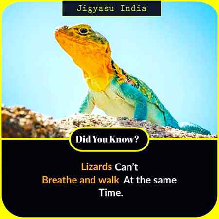 ..FACTS.REALYY MATTER..👍..GOOD .EVE