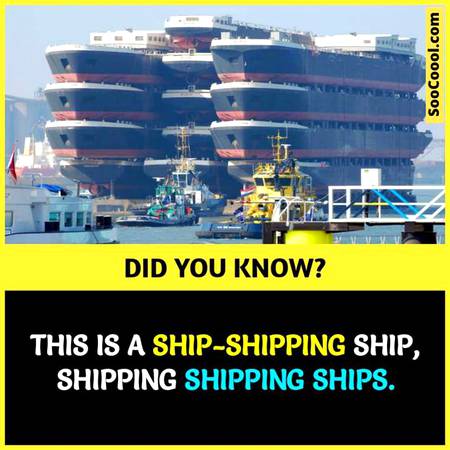 Did you know