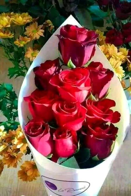 جس کا اللہ کفیل ہو 
وہ کسی کا محتاج نہیں ہوتا ❤

اسلام علیکم
صبح بخیر