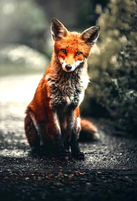 Wildlife photography!