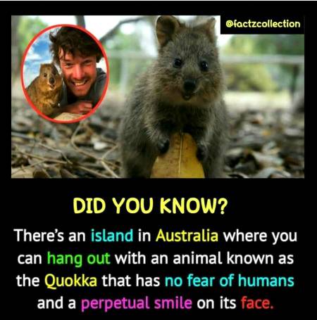 Did you know