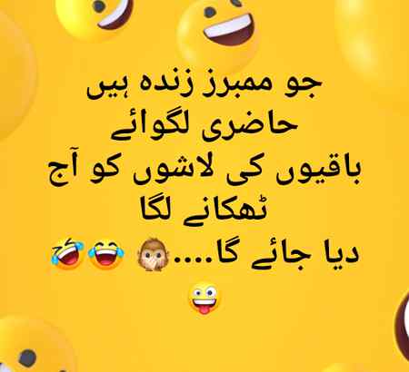 🍁Zoq_Shab🍁