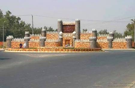 Beautiful Sahiwal