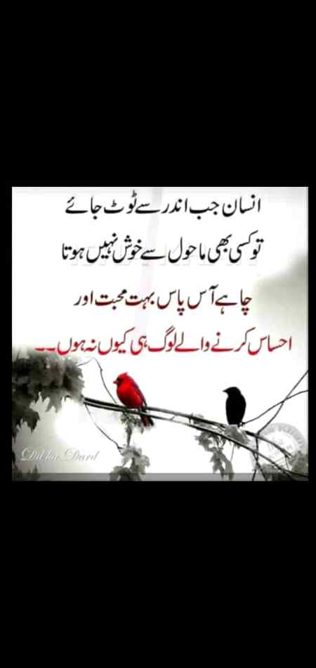Beshaq ryt 😥😢😰