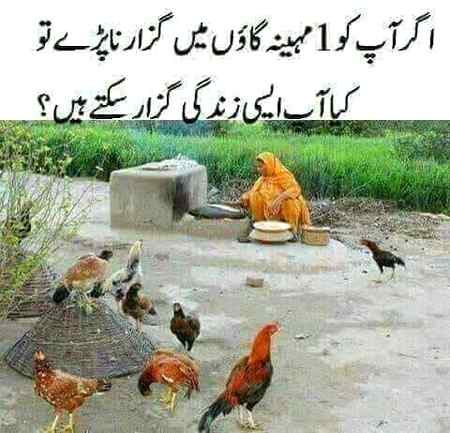 Btao btao or Sach btana 🤓🤓🤓
