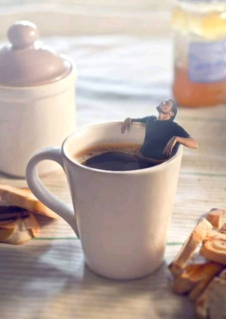 ﺗﺠﮫ ﮐﻮ ﻣﻌﻠﻮﻡ ﮐﮩﺎﮞ چائے ﮐﮯ ﻣﻌﻨﯽ ﮨﻤﺪﻡ
ﺗﻮﻧﮯ ﺩﯾﮑﮭﯽ ﺑﮭﯽ ﮨﮯ ﺟﻠﺘﯽ ﮨﻮﺋﯽ ﺣﺴﺮﺕ ﮐﻮﺋﯽ ؟