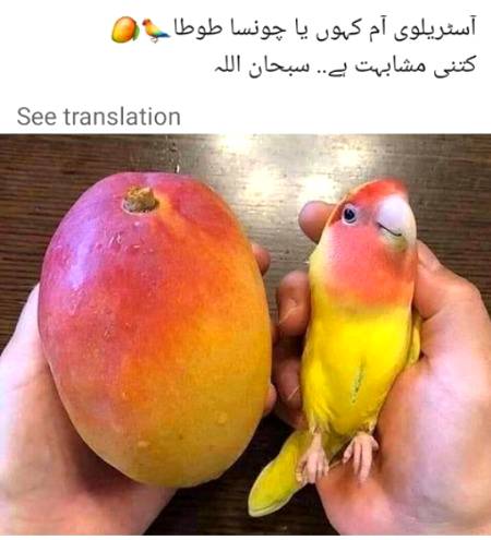 ❤❤ SubhanAlah ❤❤