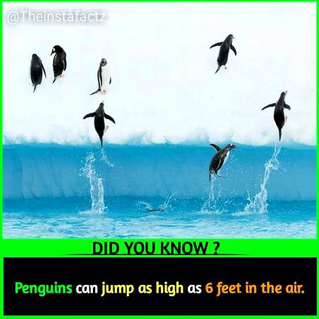 Did you know