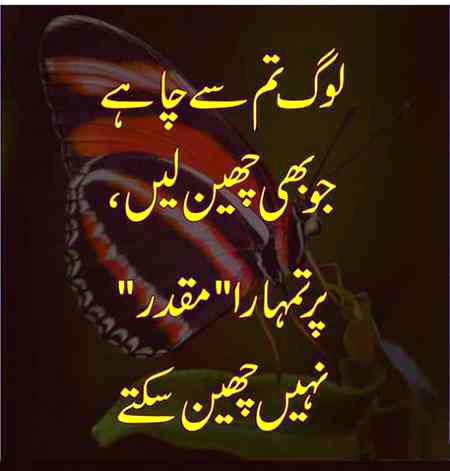 Absolutely right 🤨🤨