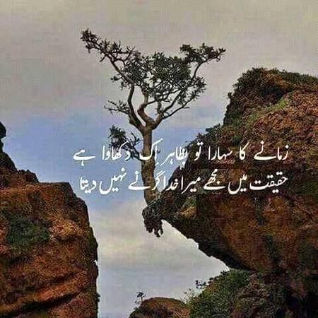 Haqiqi shara💖