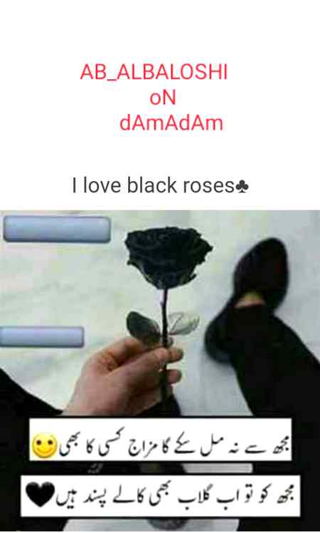 Zara yaad Kar oh mere hum safar tera Dil Jo mujh pe nisaar tha.