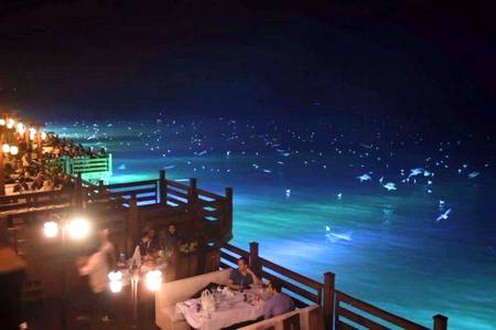 Fabulous place at 2 Darya kababjees