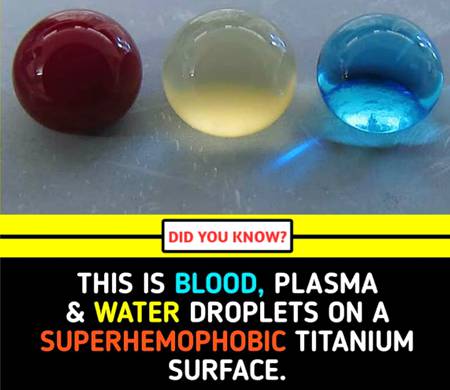 Did u know