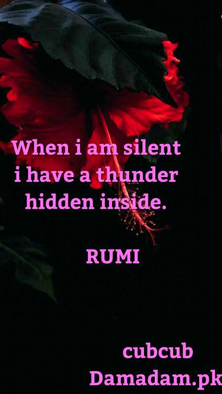 Rumi's words