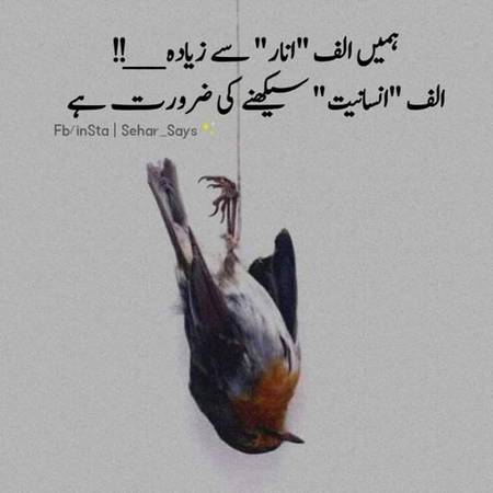 Mehar Zada