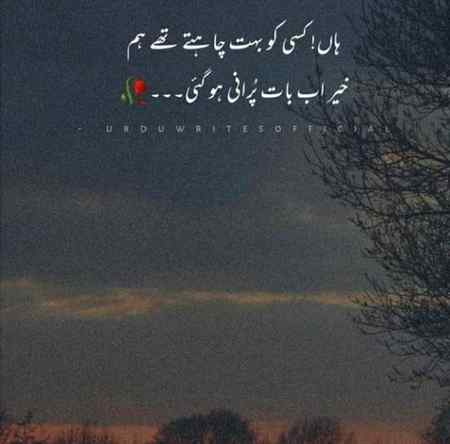 ﮐﻮﻥ ﮐﮩﺘﺎ ﮬﮯ ﮐﭽﮫ ﻧﮭﯿﮟ ﺑﺪﻻ
ﻭﻩ ﻣﺠﮭﮯ ﺁﭖ ﺑﻮﻟﺘﺎ ﮬﮯ ﺍﺏ
ﺟﻮّﻥ ﺍﯾﻠﯿﺎء