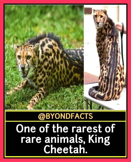 Did u know