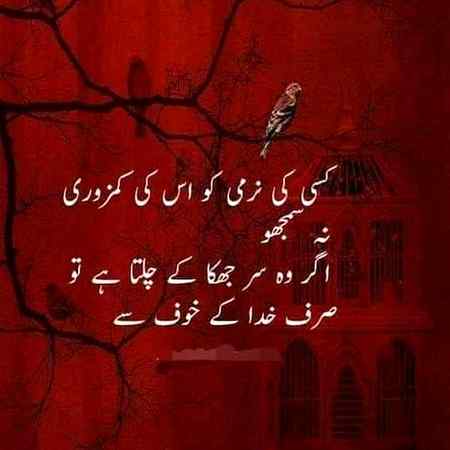 Bilkul 🥀🥀🥀🥀🥀🥀