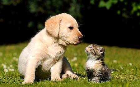 Friends..