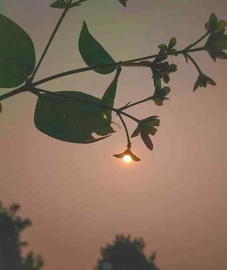 Photography by me💟