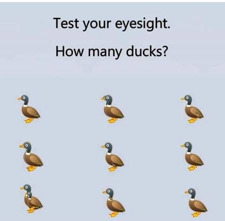 How many Ducks are 🤔🤔
