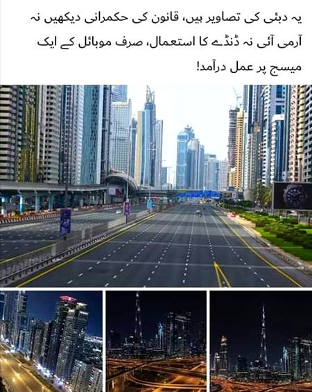 قانون کی حکمرانی دیکھیں