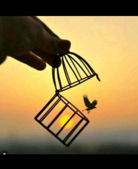 🌼صبح بخیر زندگی 🌼