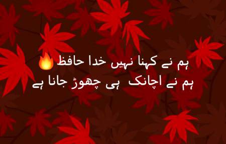 Humy tum yad rakho gy.. zamana beet jany do..