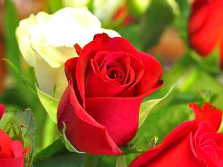 Allah Pak sb k rozay achay say guzaray Aameen