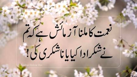 🌹🌹🌹صلی اللہ علی حبیبہ محمد نور من نوراللہ وعلی آلہ واہل بیتہ وعترتہ وازواجہ وصحبہ وجدہ وذریتہ و کل امتہ وبارک وسلم کثیراً کثیرا و دائماً ابدا 🌹🌹🌹