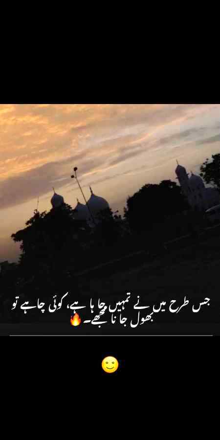 Happpy independence dayy advance mubarik hooo💘