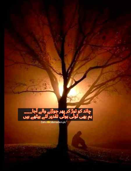 Zehu|damadam.pk