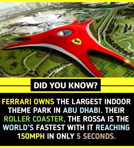 Did you know