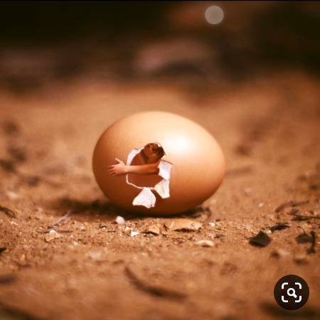 reborn of tiny people