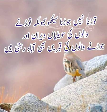 Subah ba khair