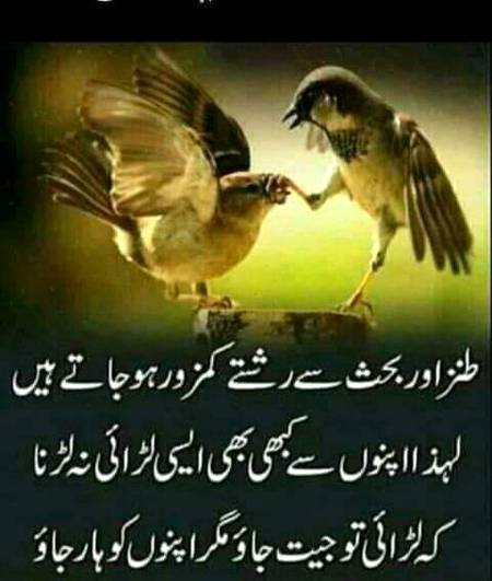 Hi Dear Frind kasy ho?