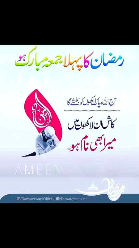 hlo friends