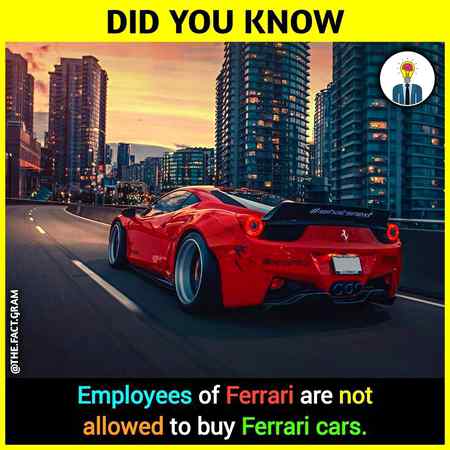 Did you know
