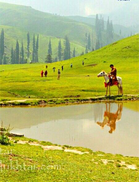 Beautiful view