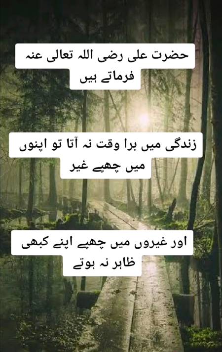 ....😇😇😇....