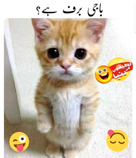 Baji garmi h dedo.🙁😟