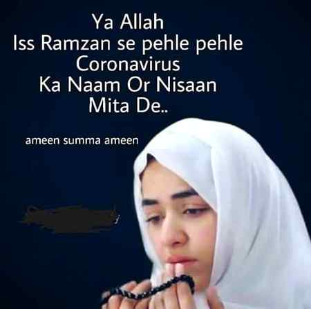 Sending by fareed ahmed shaikh ameen summa ameen