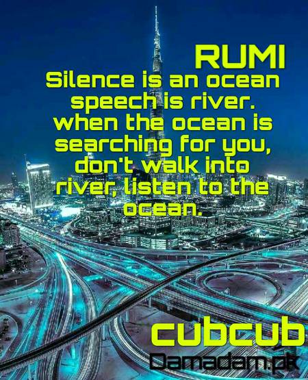 RUMI'S WORDS