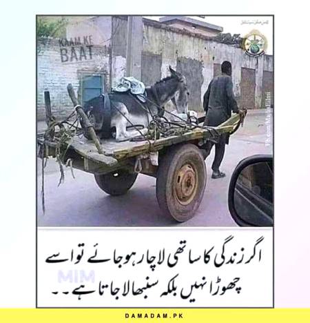 Reality...🌹🌹