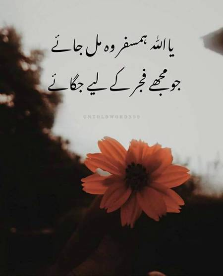 Mri b yhi khawish ha❤❤❤