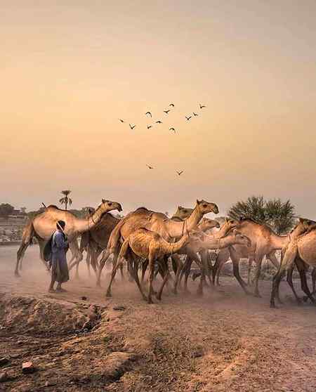 The beautiful click of sindh .