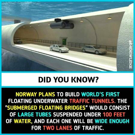 DID YOU KNOW??